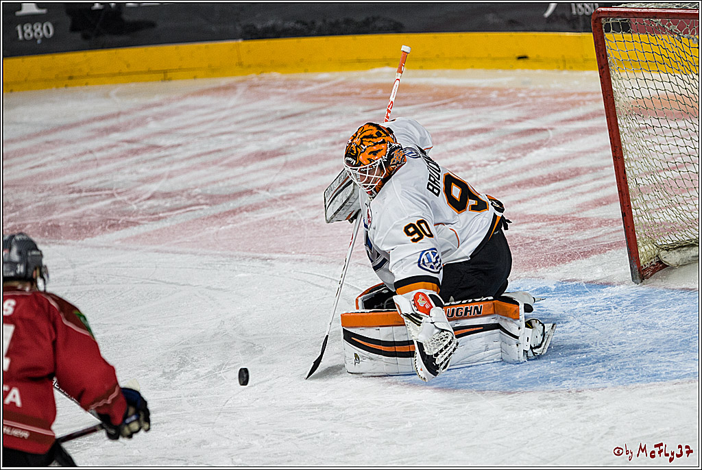 DEL, Koelner Haie - Grizzlys Wolfsburg, 21.03.2017